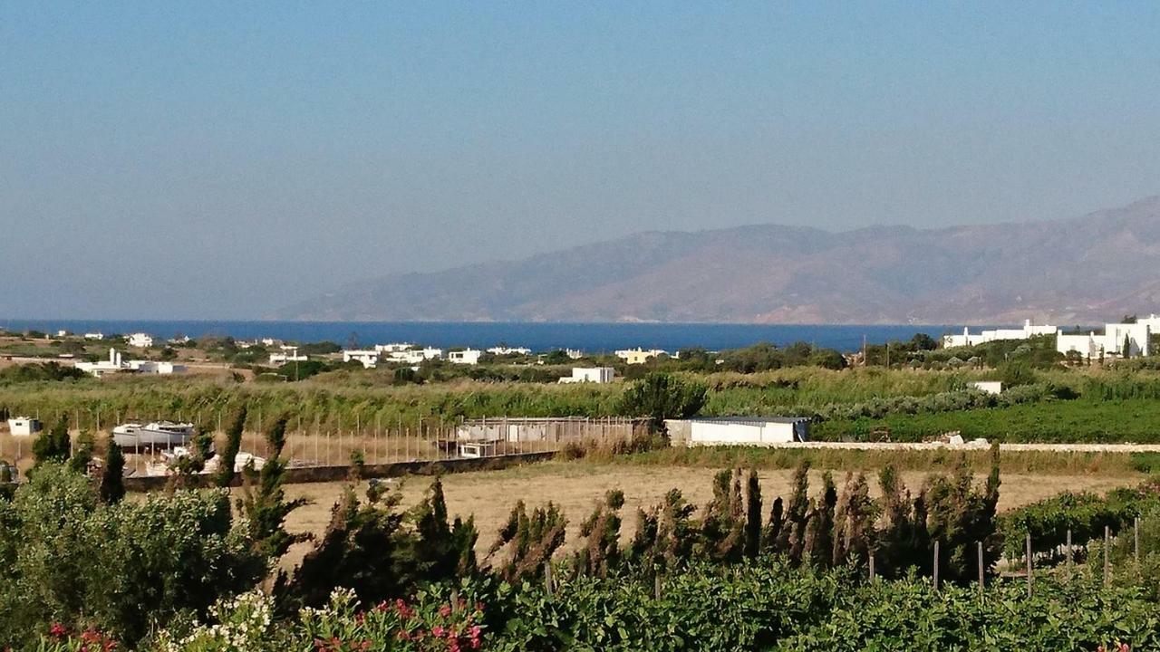 Villa Kampos Naousa-Marpisa Ampelas Exterior foto