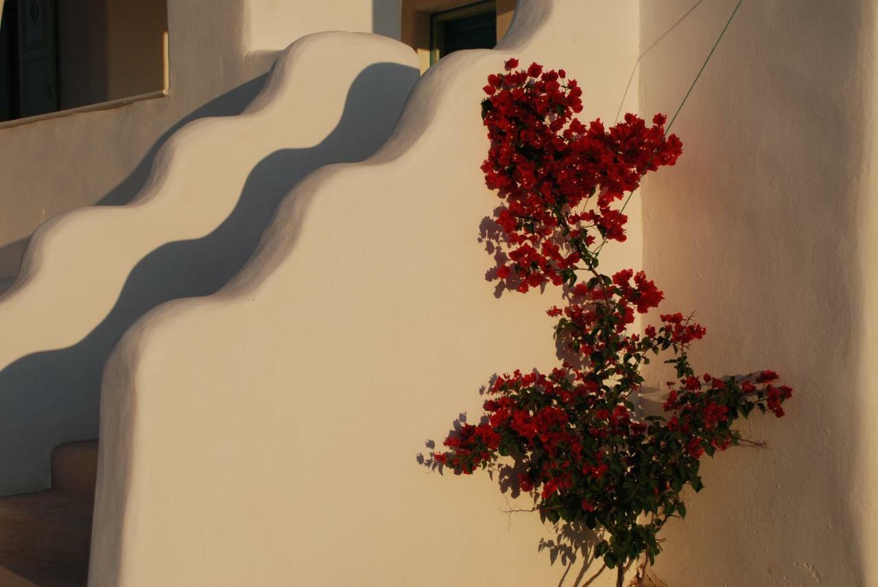 Villa Kampos Naousa-Marpisa Ampelas Exterior foto